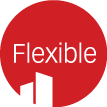 Flexible-icon_RED