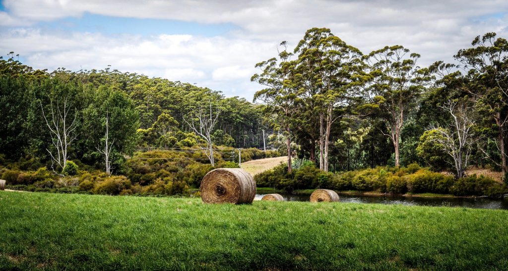 Bushland in Manjimup next to a lush green paddock with hay bales and a stream.