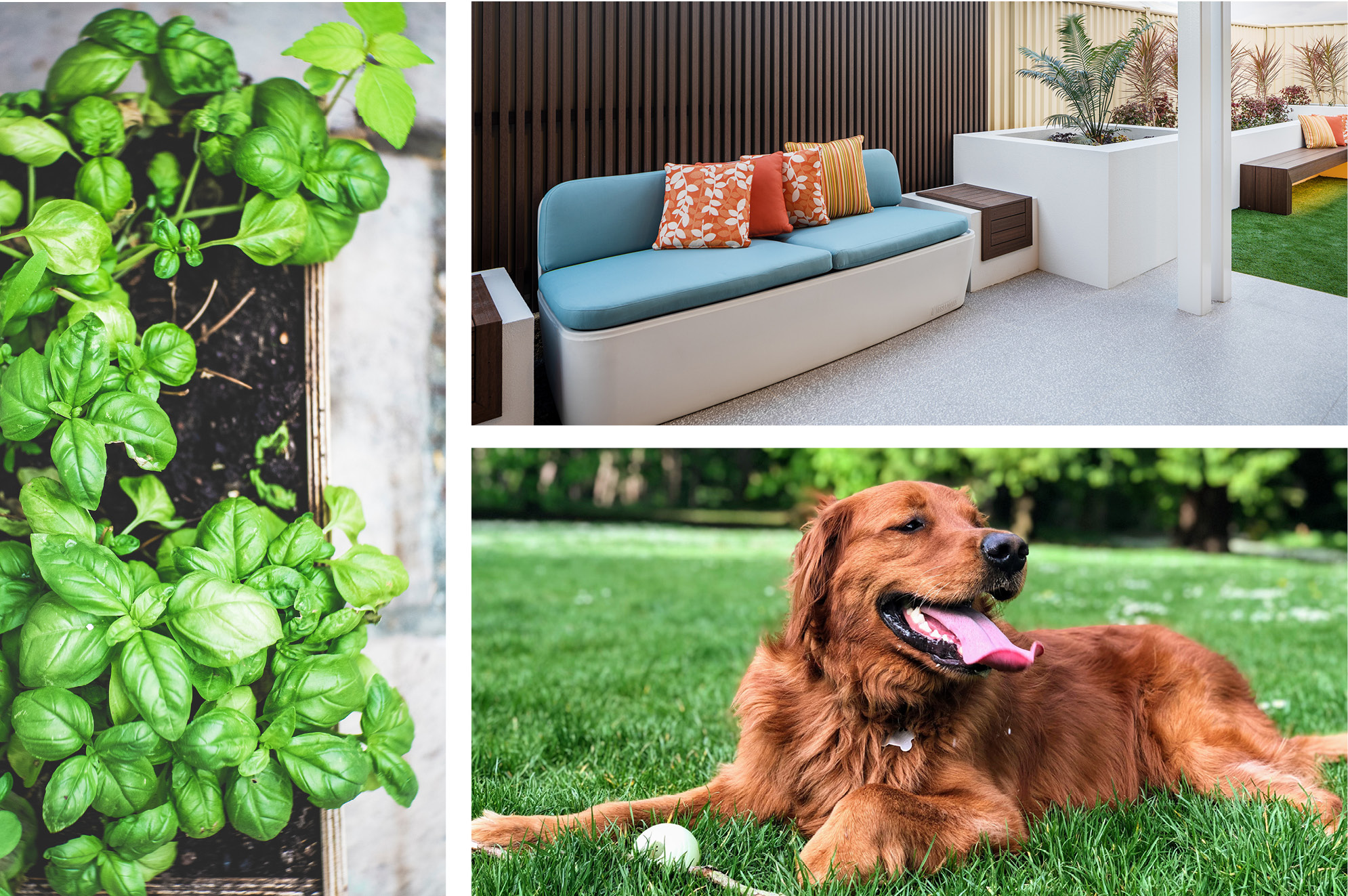 The best backyard trends of 2021