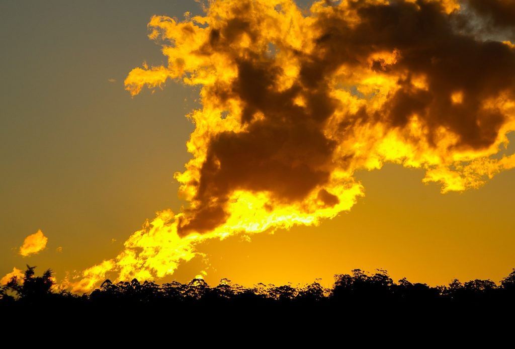 Smoke rising above bushland in the sunset