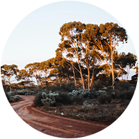 Bush Fire Attack Levels